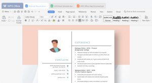WPS Office Crack 11.2.0.9718 + Activation Code Premium Full Version 2021