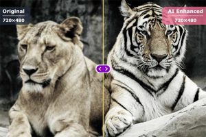 DVDFab Photo Enhancer AI 1.0.0.7 Crack With Keygen Torrent 2021